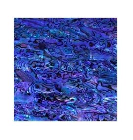 Abalone Menagerie - R3dvelvetee