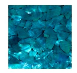 Abalone Menagerie - R3dvelvetee