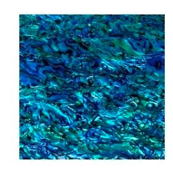 Abalone Menagerie - R3dvelvetee