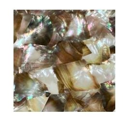 Abalone Menagerie - R3dvelvetee