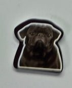 Doggos! - R3dvelvetee