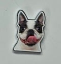Doggos! - R3dvelvetee