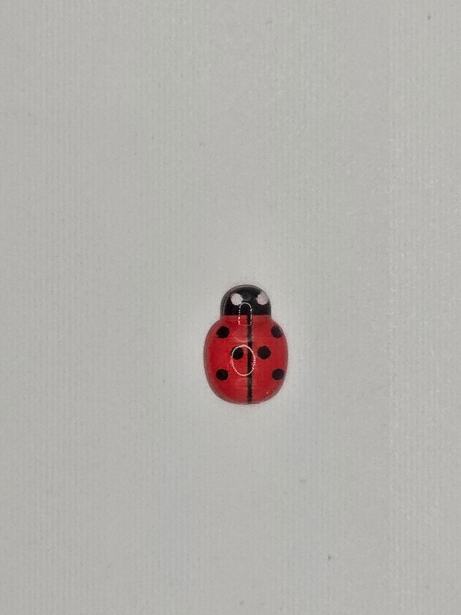 Ladybugs - R3dvelvetee