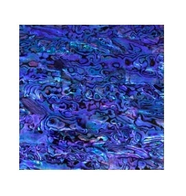 Abalone Menagerie