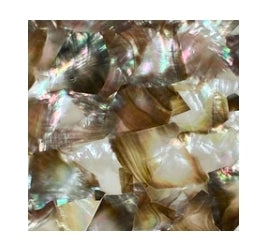 Abalone Menagerie
