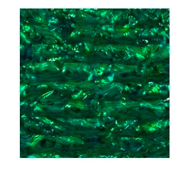 Abalone Menagerie
