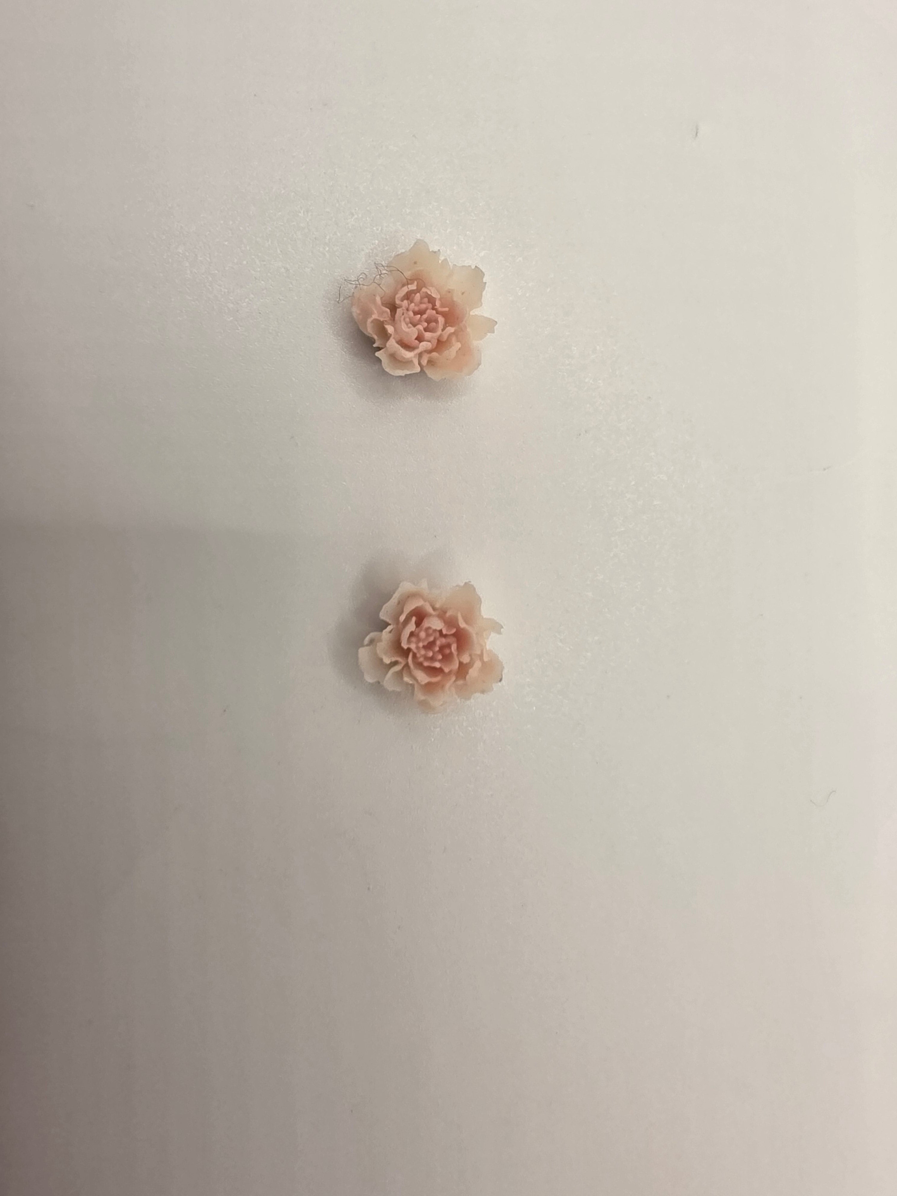Pink Roses