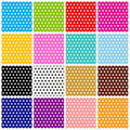 Polka Color Craze